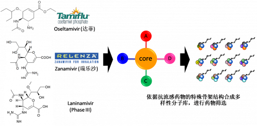 图2：以现有抗流感药物的结构为基础，进行多样性药物分子库的合成。