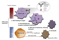 浅析：ADC药物的抗癌之路