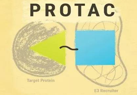 热点前沿:PROTAC初露锋芒，SD-36对抗肿瘤效果卓越