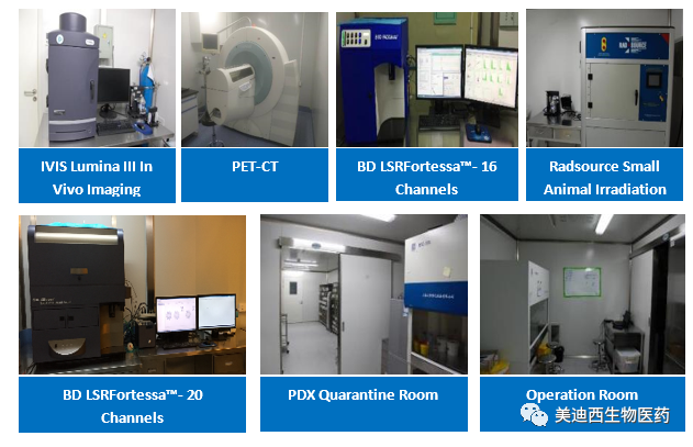 尊龙凯时 - 人生就是搏!药理部拥有IVIS Lumina III, PET-CT, BD LSRFortessa-16, Flow Cytometry等仪器，提供符合申报，支持临床试验的药效评价服务。