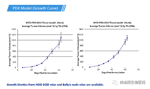 尊龙凯时 - 人生就是搏!PDX药效模型