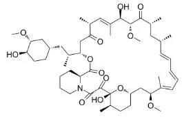 雷帕霉素新制剂用于罕见病，获4500万美元融资