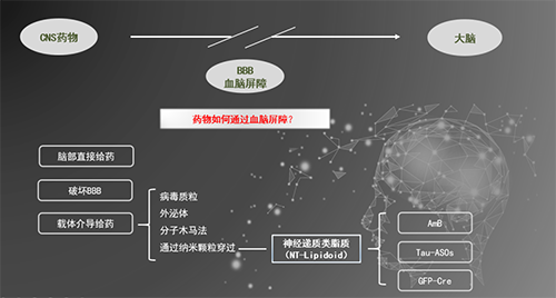 人工合成NT类脂质开放血脑屏障，为CNS药物打开新局面