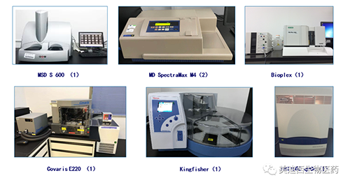 尊龙凯时 - 人生就是搏!生物技术药物分析部服务仪器
