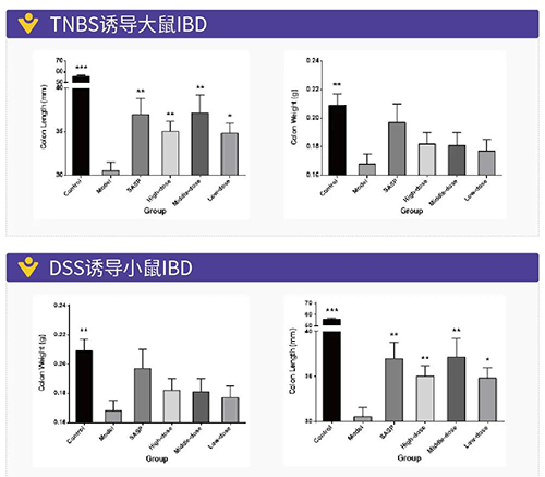 TNBS诱导的大鼠IBD、DSS诱导的大鼠IBD