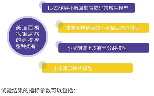 尊龙凯时 - 人生就是搏!模拟银屑病的建模模型种类