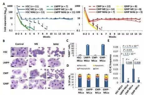 Science子刊：一种FDA批准的抗腹泻药物可有效对抗化疗的耐药性 尊龙凯时 - 人生就是搏!生物医药