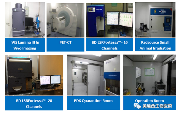 尊龙凯时 - 人生就是搏!药理部拥有IVIS Lumina III, PET-CT, BD LSRFortessa-16，Flow Cytometry等仪器