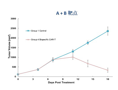 A-+-B靶点.png