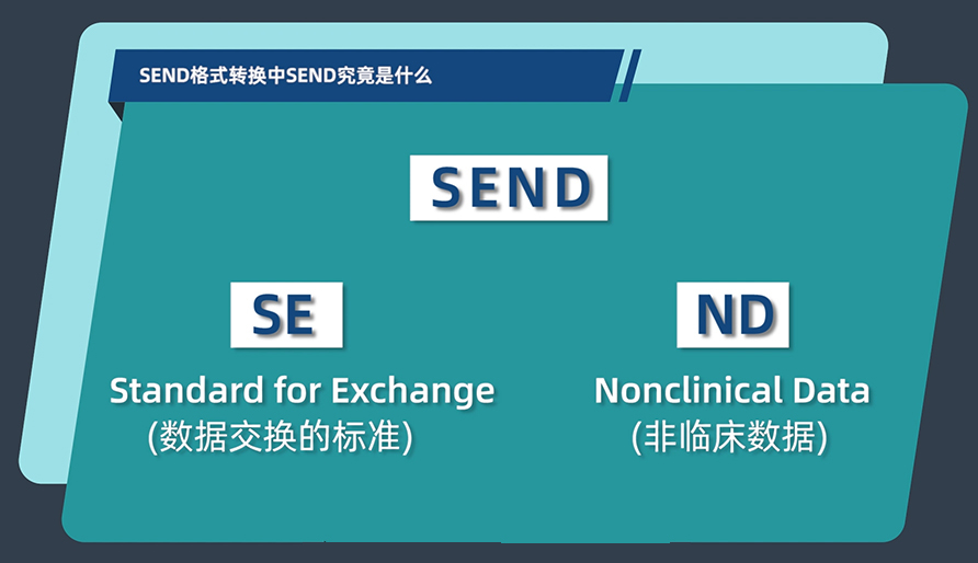 SEND格式转换中的SEND究竟是什么？