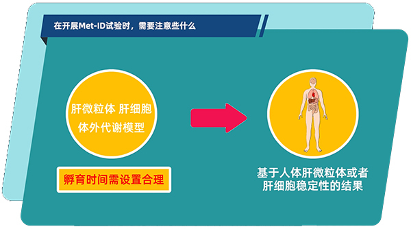 肝微粒体、肝细胞体外代谢模型中，孵育时间需设置合理.jpg