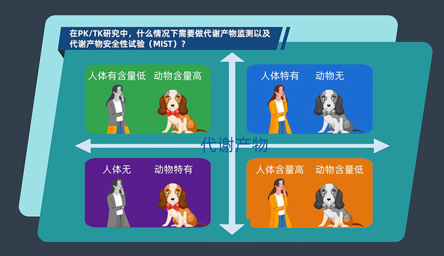 在PK-TK研究中，什么情况下需要做代谢产物监测以及代谢产物安全性试验（MIST）