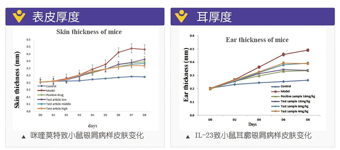 尊龙凯时 - 人生就是搏!模拟银屑病的建模模型-试验结果的指标.png