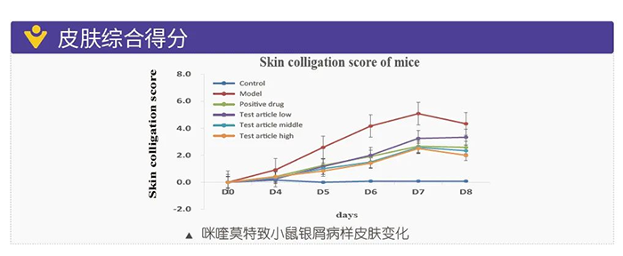 尊龙凯时 - 人生就是搏!模拟银屑病的建模模型-皮肤综合得分.png