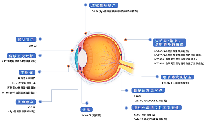 兆科眼科创新药物管线.png