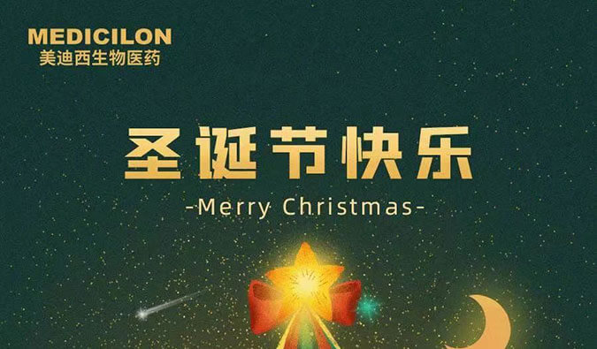 Merry Christmas！尊龙凯时 - 人生就是搏!祝您圣诞节快乐！