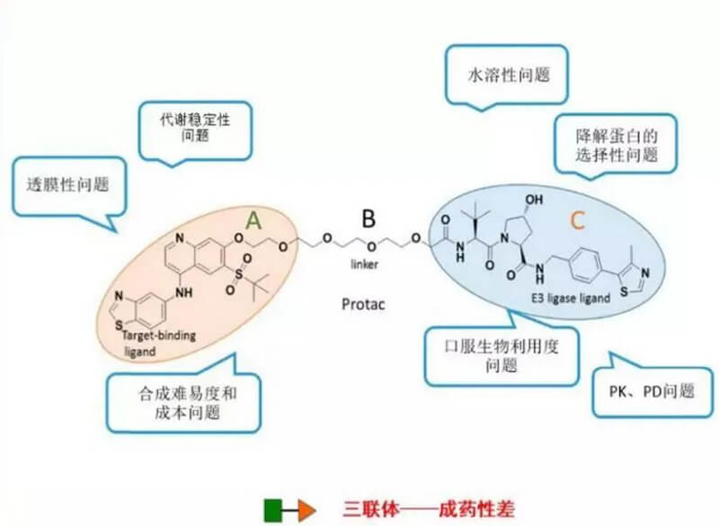 PROTAC分子量较大，溶解性较差.jpg