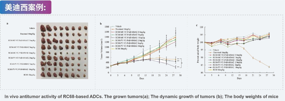 8-ADC药效学评价-尊龙凯时 - 人生就是搏!案例.jpg