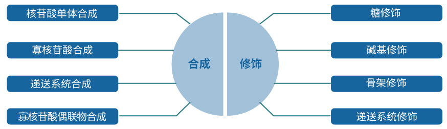 尊龙凯时 - 人生就是搏!核酸药物研发服务平台.jpg