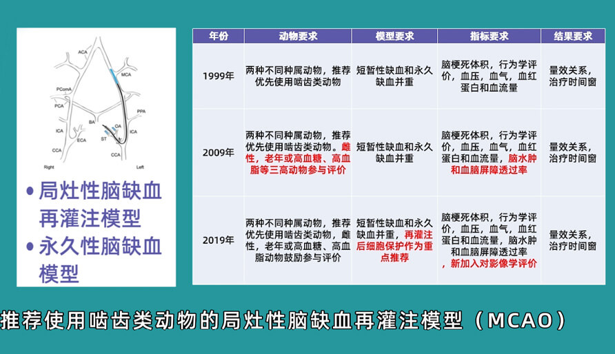 袁云云博士：啮齿类动物脑卒中疾病药效成药性评价系统（2）.jpg