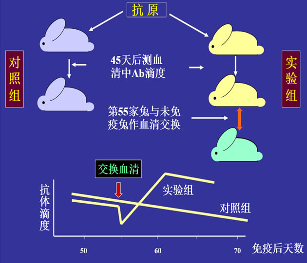 Figure-1：机体对抗体浓度变化的感知与反馈性自我调节.jpg