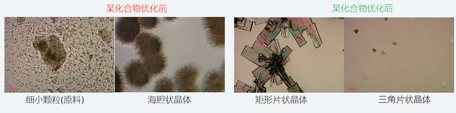 05案例分享-单晶培养，改变晶习.png