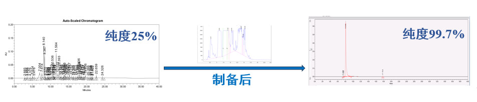 案例一：仿制药发补：大极性杂质制备.jpg