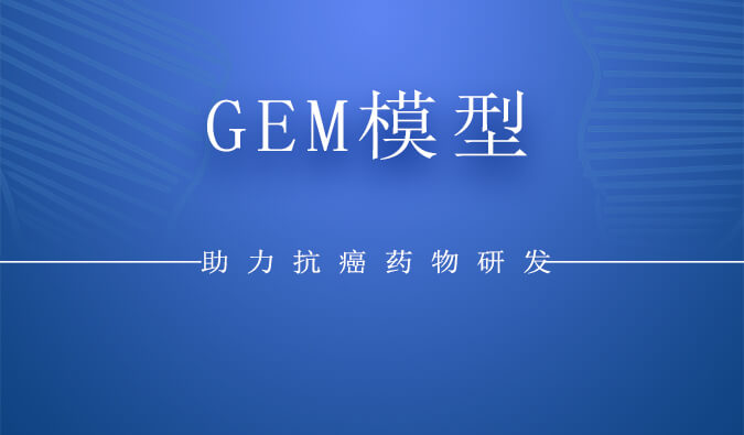 GEM模型.jpg