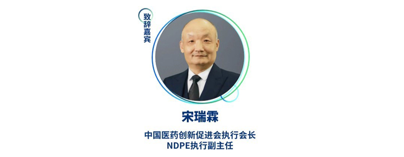 宋瑞霖--中国医药创新促进会执行会长、NDPE执行副主任.jpg